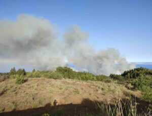 İspanya’da orman yangını: 11 ev yandı, 140 hektar alan kül oldu, 500 kişi tahliye edildi