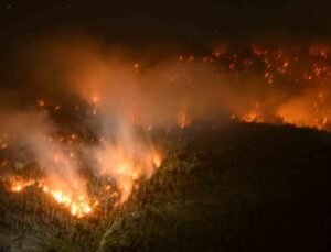 İsviçre’de ormanlık alanda yangın