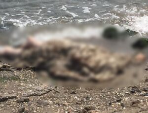 İzmir’de deniz kenarında erkek cesedi bulundu