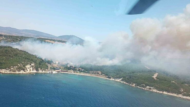 İzmir’in iki ilçesinde aynı anda orman yangını