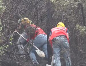 Kağıthane’de ağaçlık alanda yangın paniği: Alevlere yangın söndürme helikopteri de müdahale etti