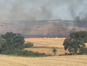 Keşan’da tarla yangınında 2 bin dönüme yakın arazi küle döndü