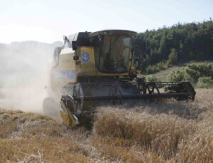 Kestel Belediyesi Türkiye’nin en ucuz ekmeği için buğday hasadını yaptı