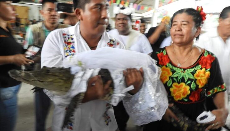 Meksikalı belediye başkanı timsahla evlendi, gelinlik giydirdi, dans etti
