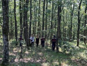 Ormanda 15 gün önce kaybolan 2 genç jandarma tarafından bulundu