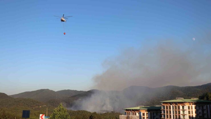 Sakarya’daki orman yangını 3 buçuk saat sonra kontrol altına alındı