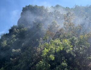 Uludağ’daki orman yangını kontrol altına alındı