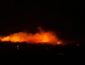 Urla’da makilik alandaki yangın kontrol altına alındı