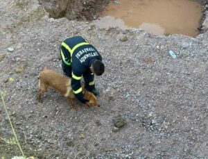 Yalova’da inşaat temeline düşen köpeği itfaiye kurtardı
