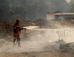 Yunanistan orman yangınlarıyla boğuşuyor