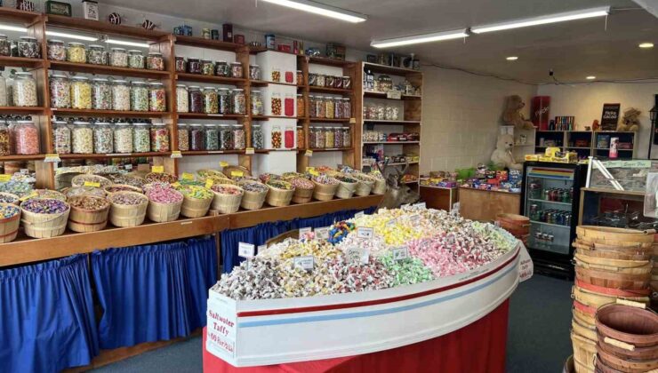 ABD’de şaşkın geyiğin şekerci dükkanına ziyareti gülümsetti