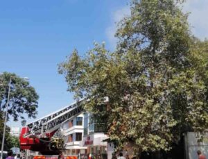 Ankara’da oto lastikçide çatı yangını