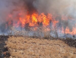 Bandırma’da arazi yangını 4 saatte söndürüldü