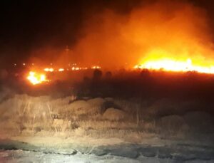 Bandırma’da park halindeki araçta çıkan yangın ormanlık alana sıçradı