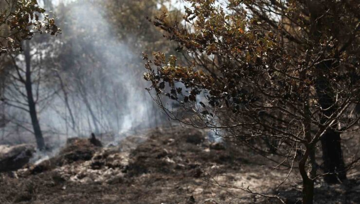 Bursa’da anız şeklinde başlayan yangın ormana sıçradı