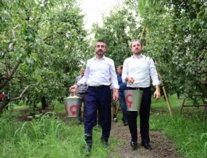 Bursa’da armut hasadı başladı… İlk meyveler Milletvekili Kılıç ve Başkan Tanır’dan