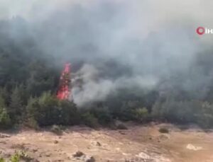Çan’da orman yangını