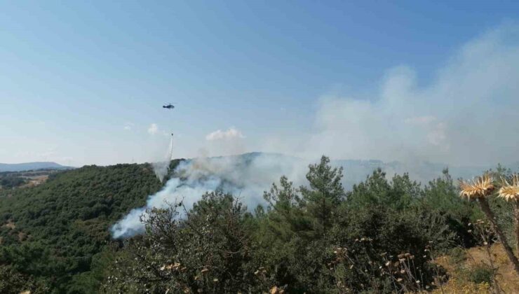 Çan’daki orman yangını kontrol altına alındı