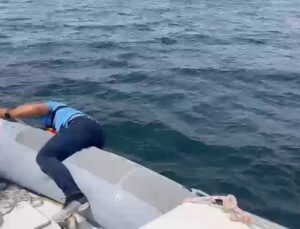 Denizde mahsur kalan martıya polis şefkati
