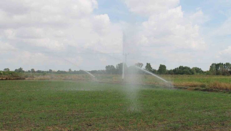 Edirne’de tarımsal sulama projesine 30 milyon liralık bütçe ayrıldı