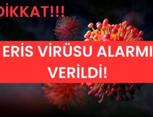 Dünya, Eris Virüsü Alarmı Veriyor! Dikkatli Olun!