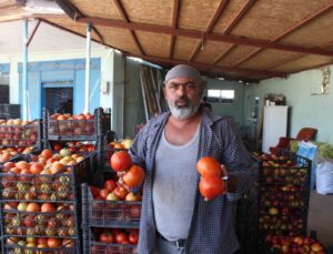 Iğdır’da yetiştirilen sebze ve meyveler il dışına satılıyor