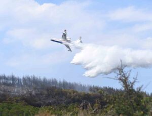 Lapseki’deki orman yangını kontrol altına alındı, 7 hektar alan zarar gördü