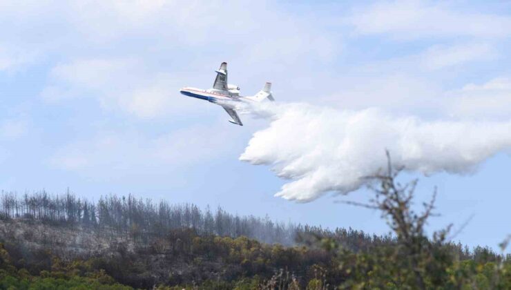 Lapseki’deki orman yangını kontrol altına alındı, 7 hektar alan zarar gördü