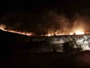 Malatya’daki orman yangını kontrol altına alındı
