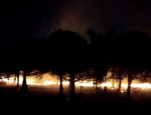 Maltepe’de orman yangını: Ekiplerin müdahalesi sürüyor