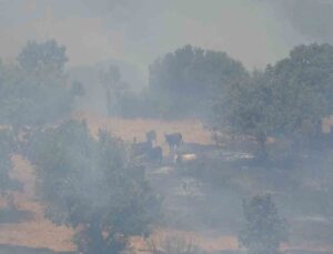 Mangal Kömürü ocağından çıkan yangın dron ile görüntülendi