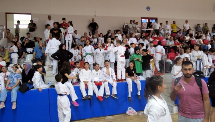 Mudanya’da karateciler Zafer Kupası için kapıştı