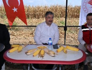 Osmaniye mısır üretiminde Türkiye’de 6. sırada