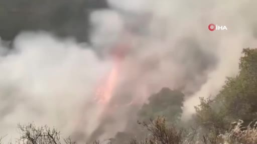 Peru’da orman yangını: 2 ölü, 12 yaralı