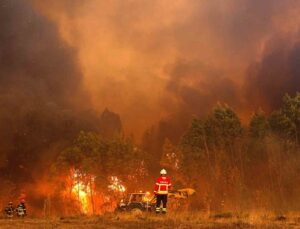 Portekiz’deki orman yangınları artıyor.