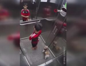 Tasması asansöre sıkışan köpeğini boğulmaktan son anda kurtardı