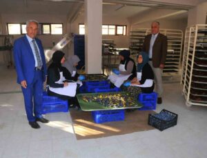 Akşehir Belediyesi meyve kurutma tesisinde ürün çeşitliliği artıyor