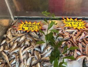 – Balık çeşidi az olunca fiyatlar yükseldi