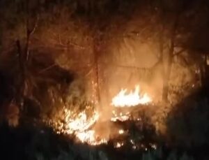 Çekmeköy Nişantepe Mahallesi’ndeki ormanlık alanda yangın çıktı, ekipler olay yerine sevk edildi