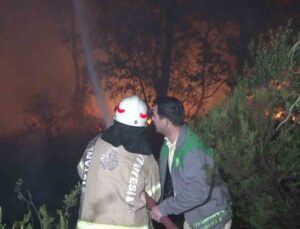 Çekmeköy’de ormanlık alanda çıkan yangın kontrol altına alındı