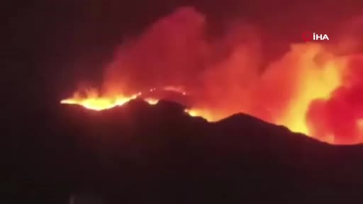 Cezayir orman yangınlarıyla mücadele ediyor