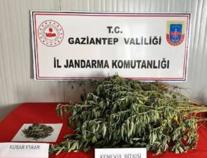 Gaziantep’te uyuşturucu operasyonlarında 295 şüpheli yakalandı