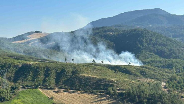Honaz’daki orman yangını kontrol altına alındı