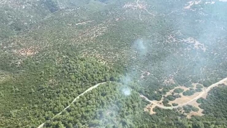İzmir Selçuk’taki orman yangını kontrol altına alındı
