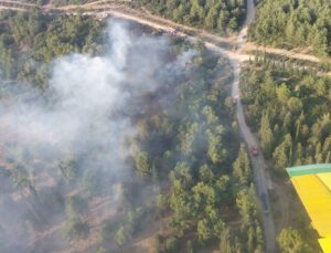 İzmir’de orman yangınına havadan ve karadan müdahale sürüyor