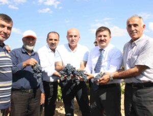 Karaman’da coğrafi işaretli kara elmasın hasadı başladı