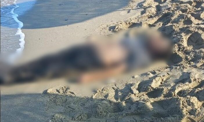 Kuşadası’nda deniz kıyısına vurmuş erkek cesedi bulundu
