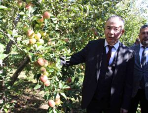 Amasya Valiliği elma için özel projeler planlayacak