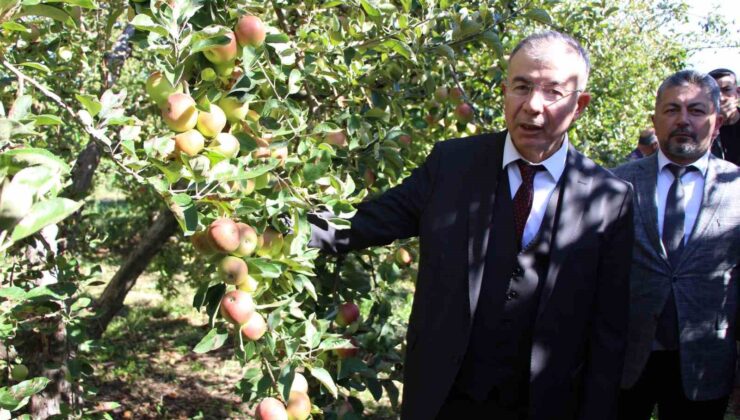 Amasya Valiliği elma için özel projeler planlayacak