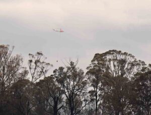 Avustralya’da orman yangını: 3 ev ile 5 bin hektardan fazla alan kül oldu